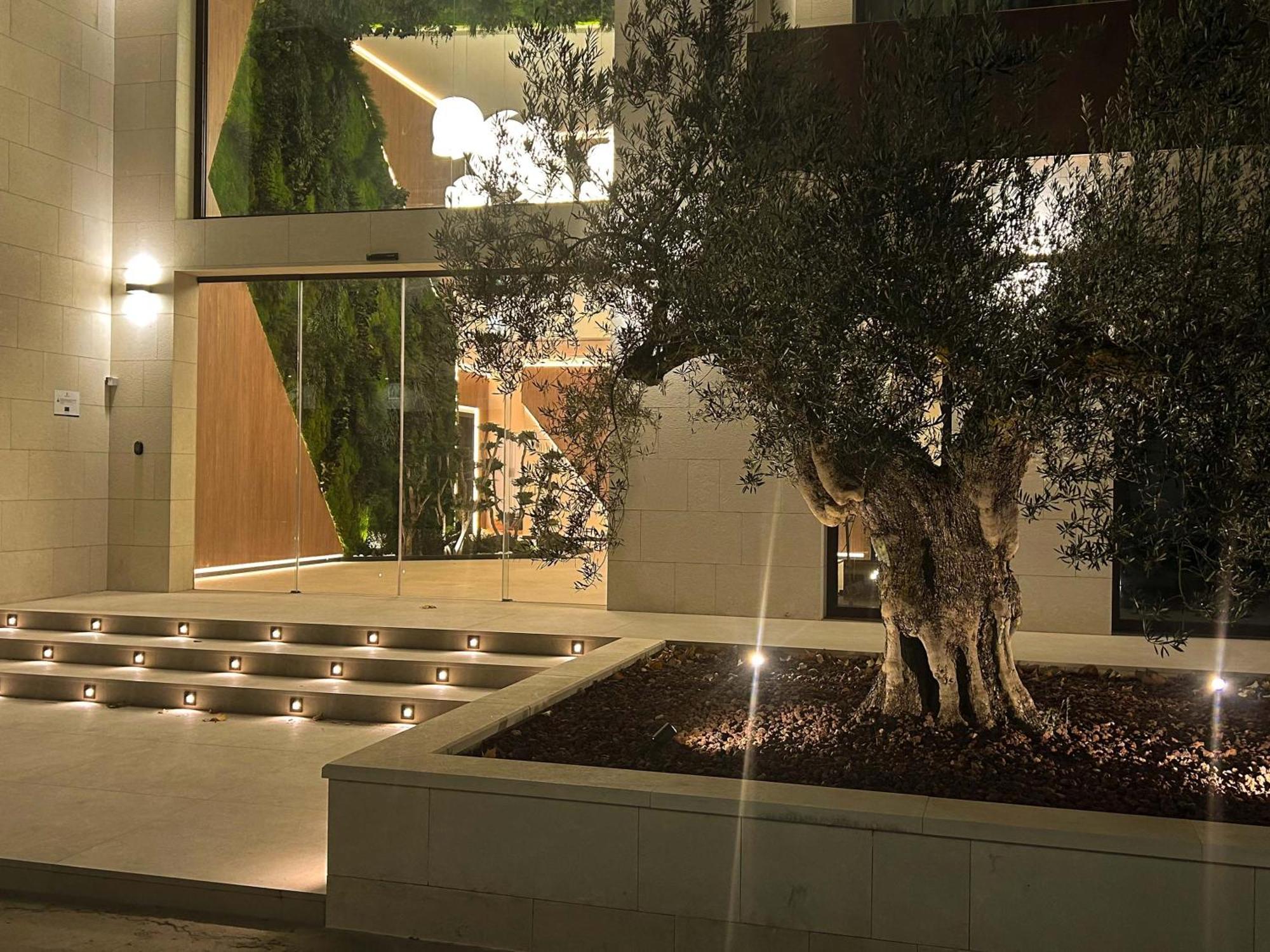 Olea Suites อัลกาลา เดล ฆูการ์ ภายนอก รูปภาพ